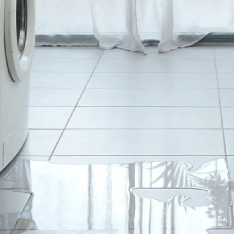 Appliance Leak Cleanup in Oconee County, GA